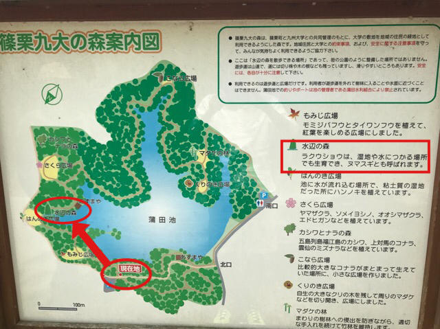 九大篠栗の森案内図